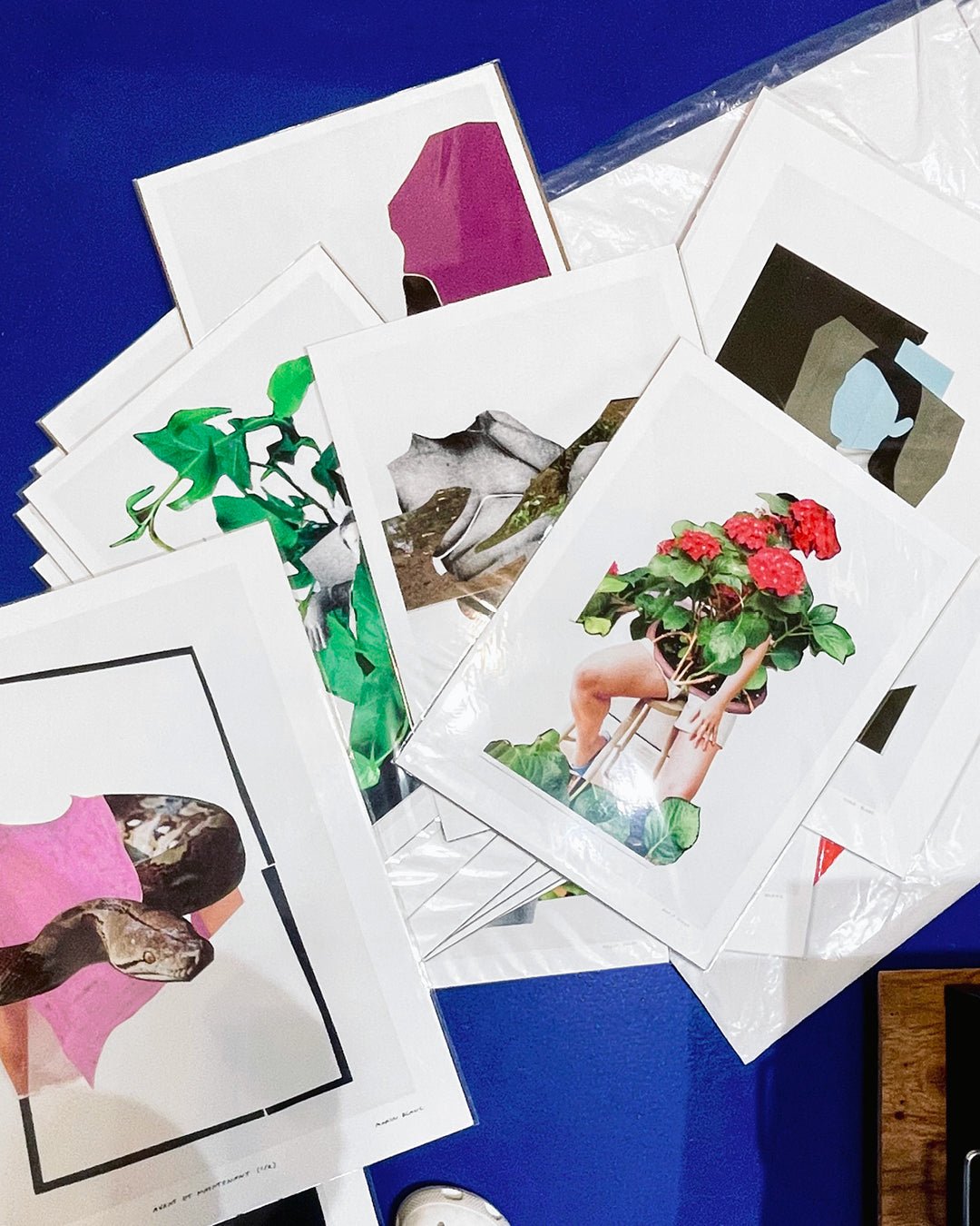 Inventaire d'atelier - Marin Blanc