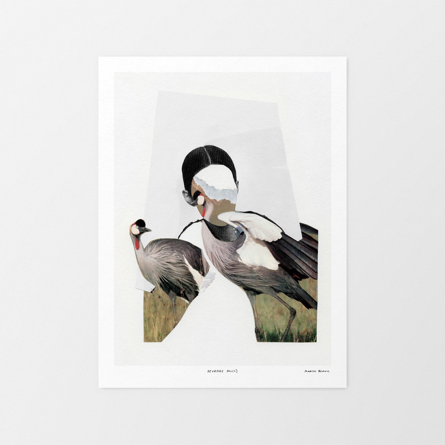 Devenez fou(s) - Marin Blanc