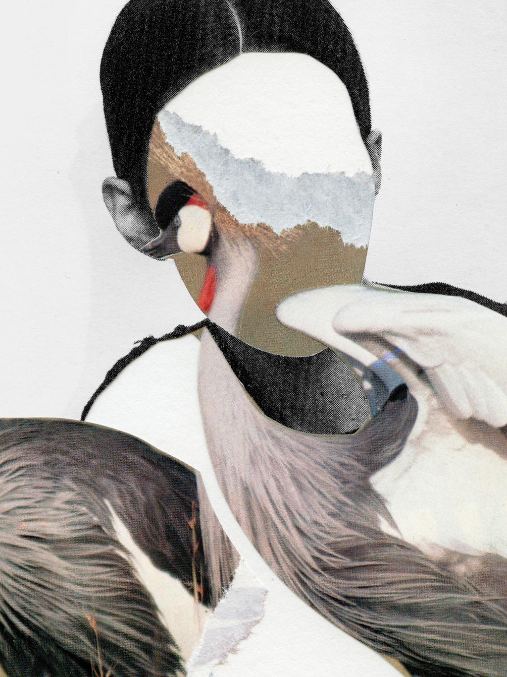 Devenez fou(s) - Marin Blanc