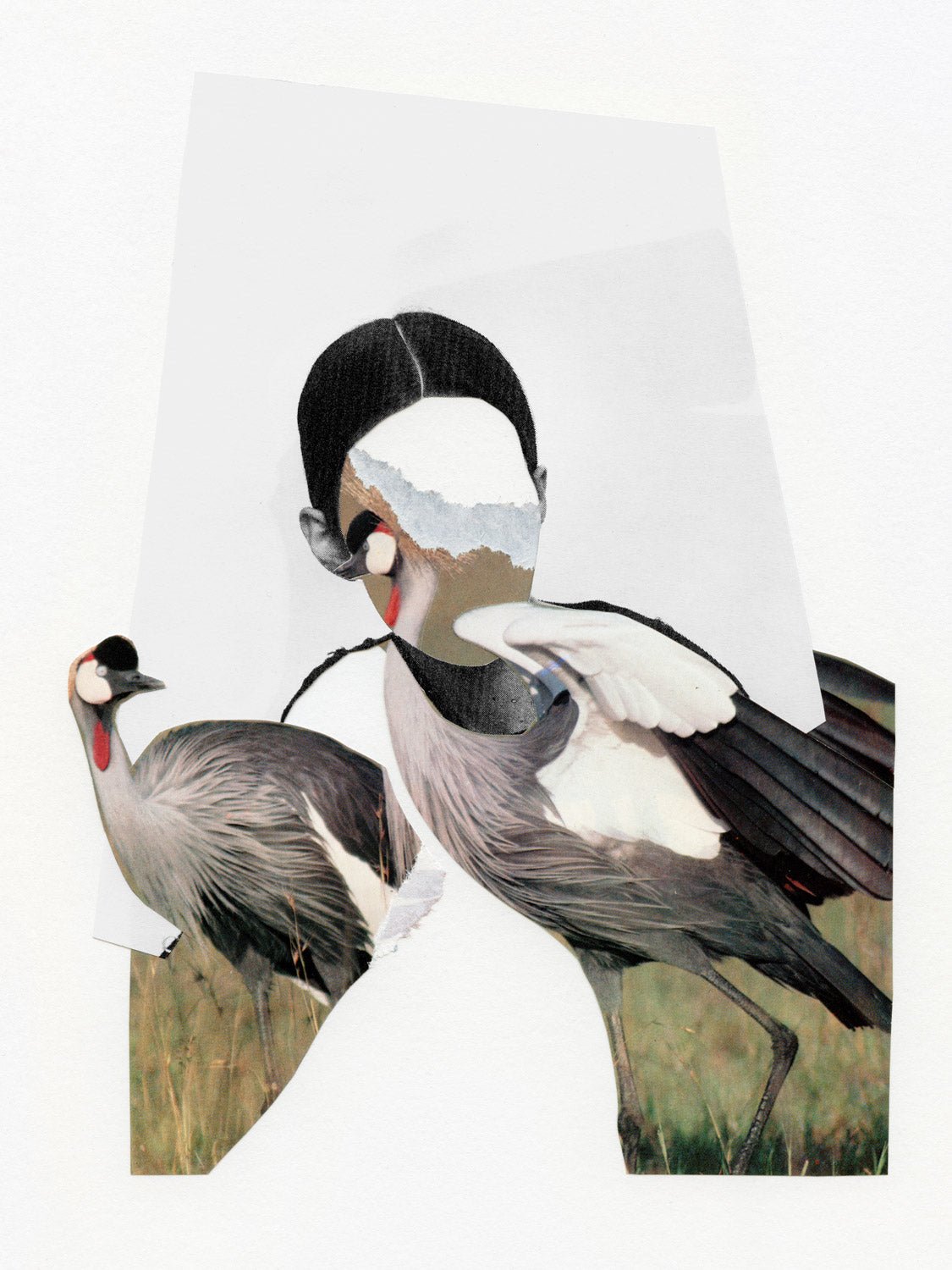 Devenez fou(s) - Marin Blanc