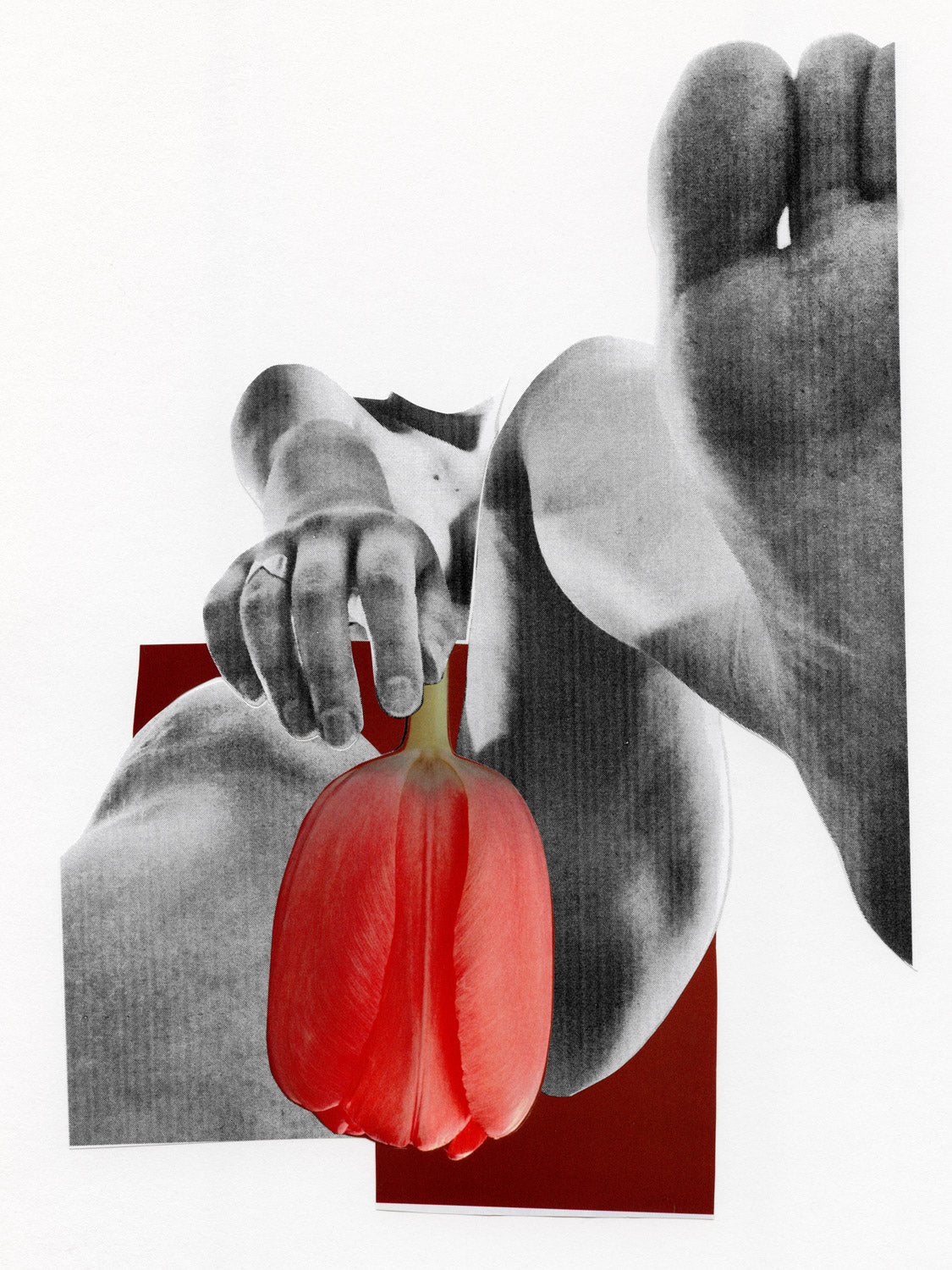 Le plaisir de la distance - Marin Blanc