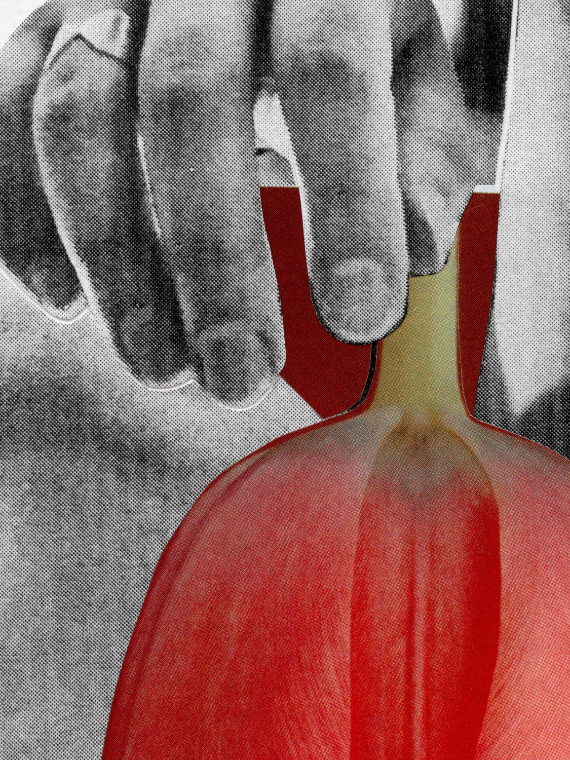 Le plaisir de la distance - Marin Blanc