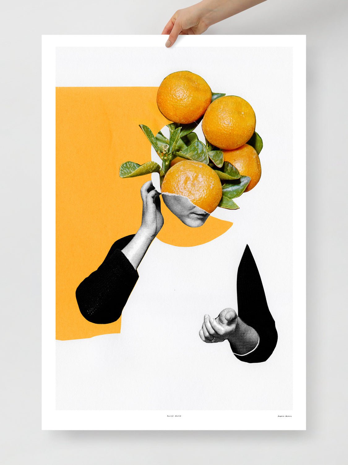 Pousse pousse - Marin Blanc