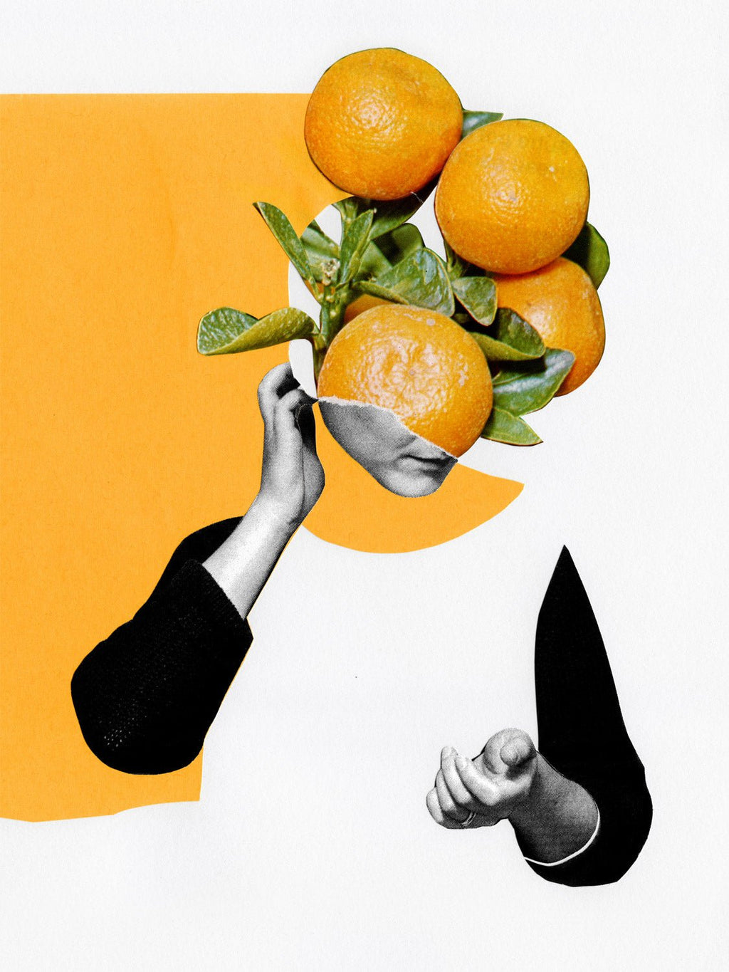 Pousse pousse - Marin Blanc