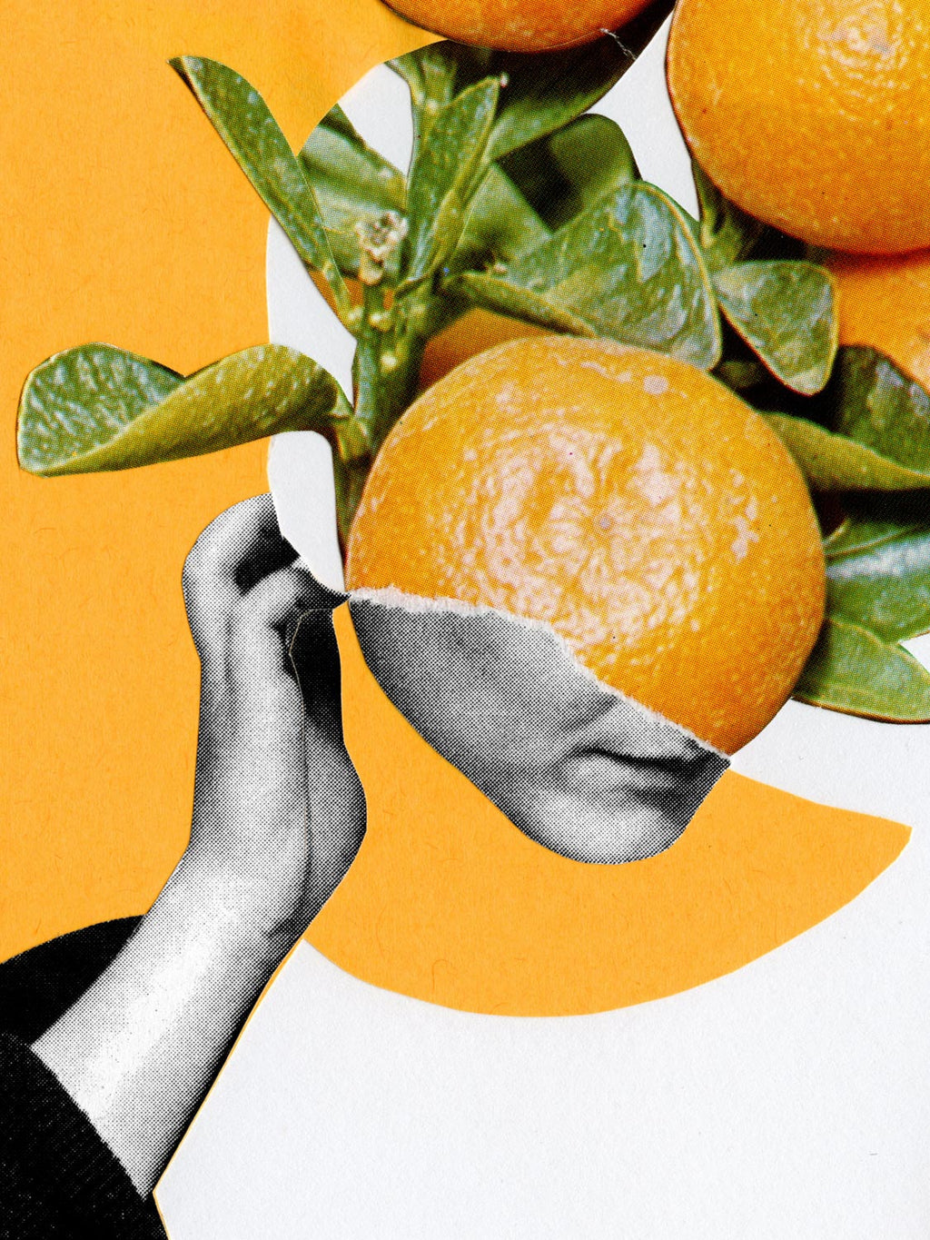 Pousse pousse - Marin Blanc