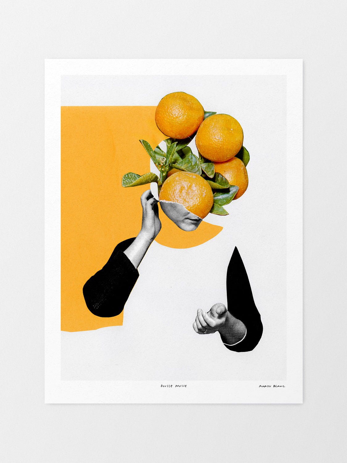 Pousse pousse - Marin Blanc